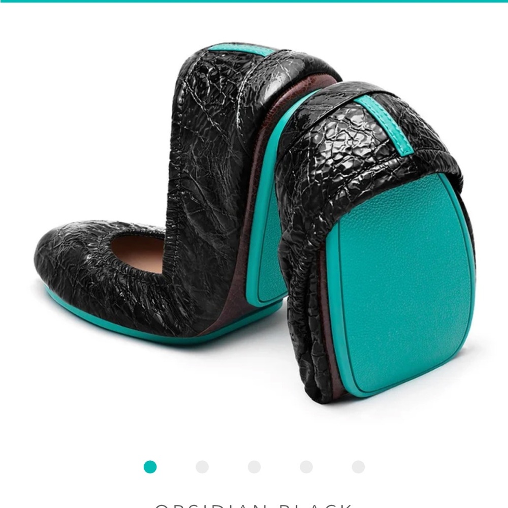 Tieks Obsidian ballet flats